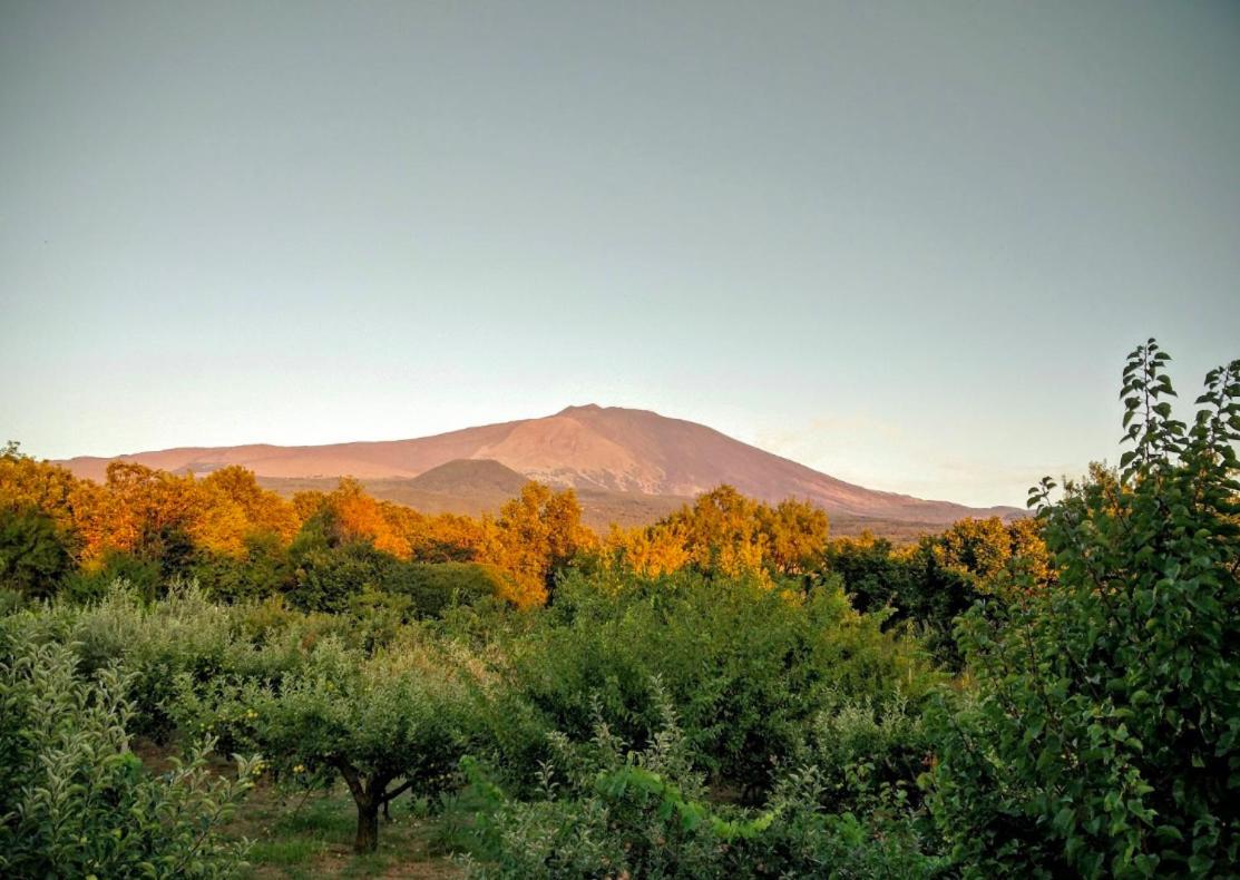 Mount Etna Chalet Maletto Εξωτερικό φωτογραφία