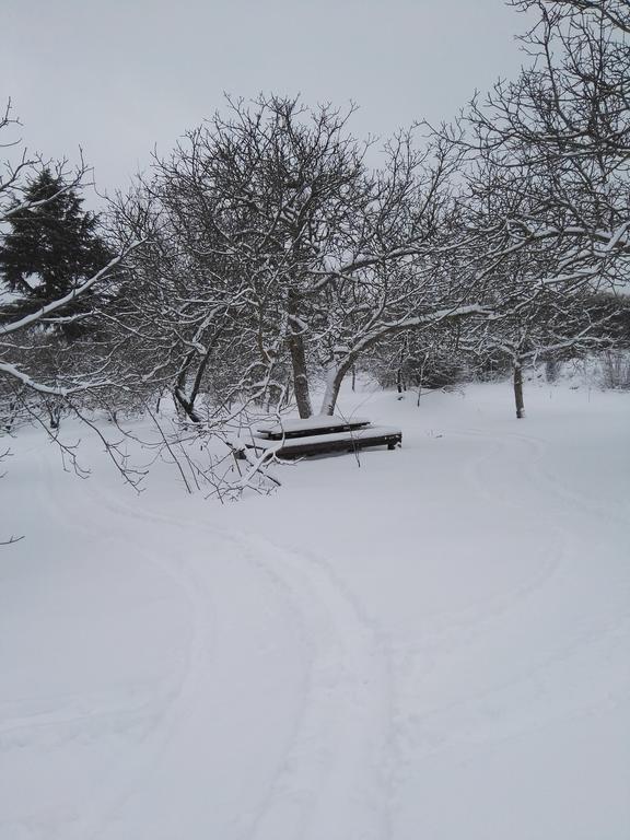Mount Etna Chalet Maletto Εξωτερικό φωτογραφία