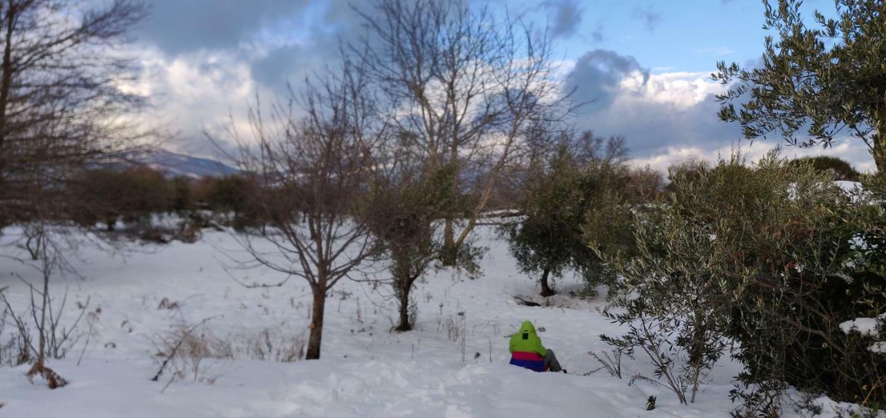Mount Etna Chalet Maletto Εξωτερικό φωτογραφία